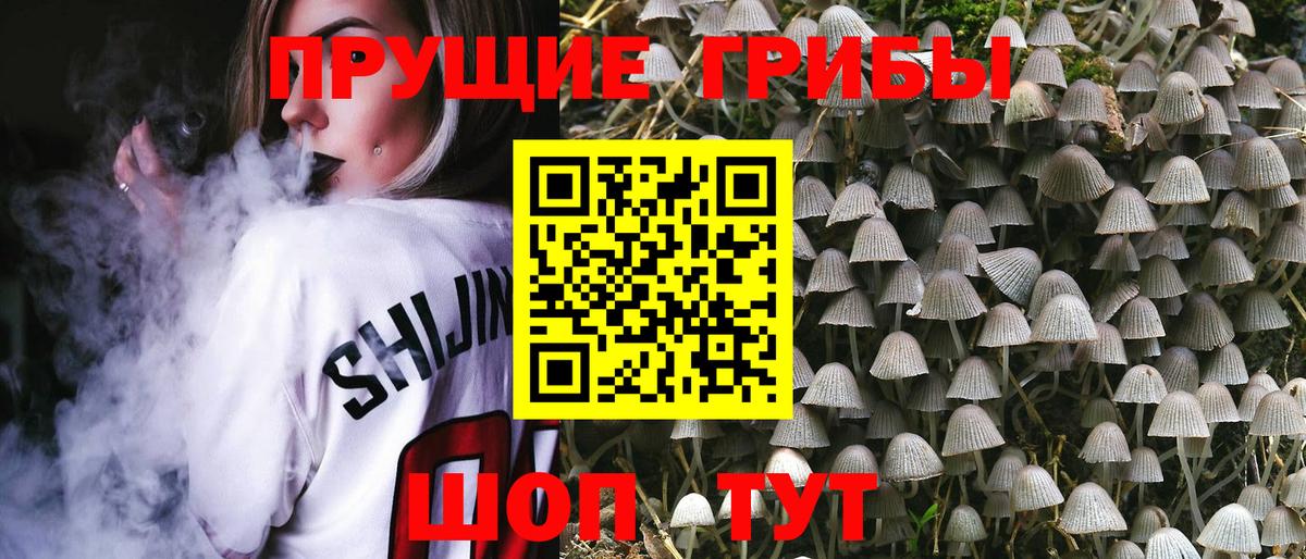 Псилоцибиновые грибы Magic Shrooms Вольск